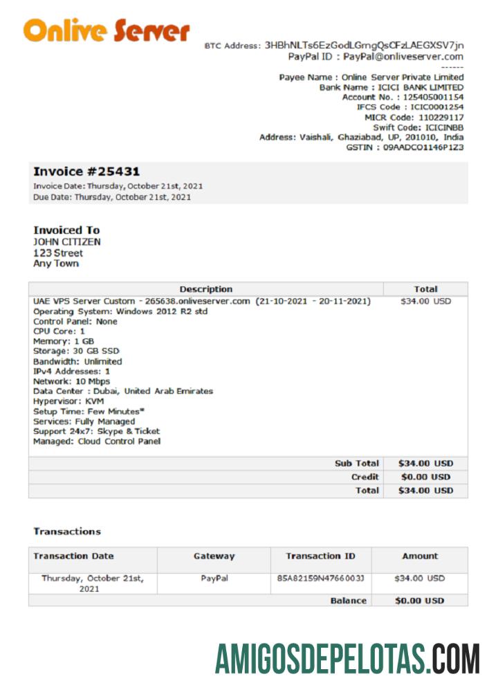 Fatura da empresa de servidor on-line da Índia baixar para verificação